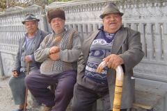 Mihai-Pitan-Toma-Tanase